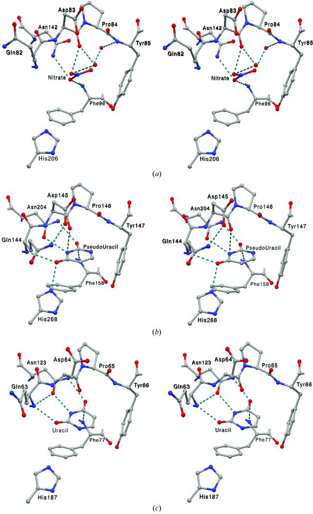 [Figure 4]