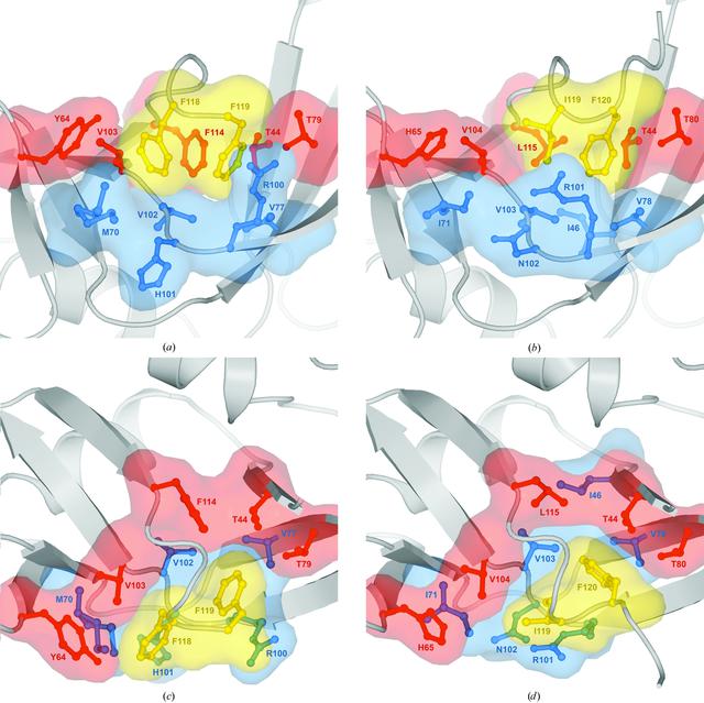 [Figure 4]