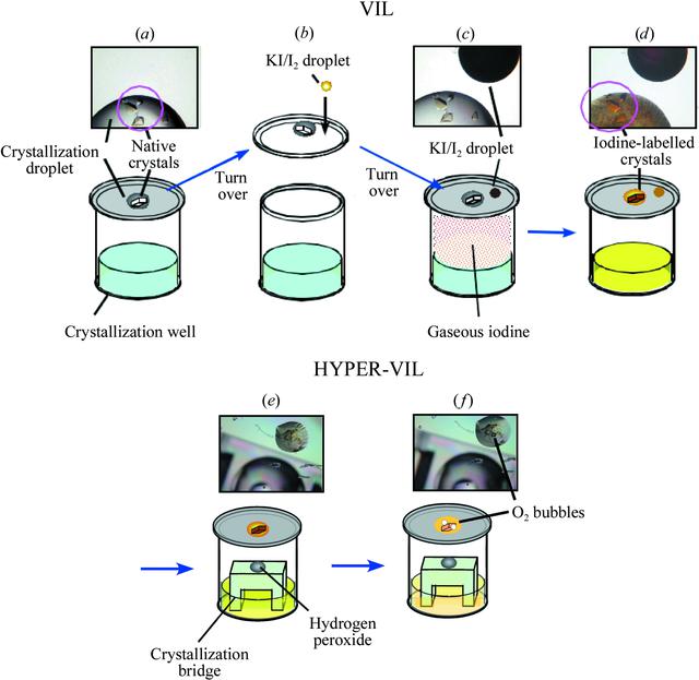 [Figure 1]