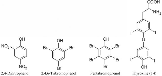 [Figure 1]