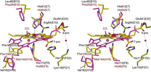 [Figure 3]