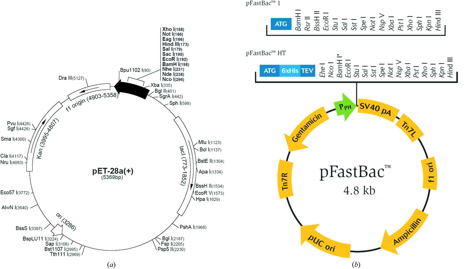 (IUCr) A large-scale, high-efficiency and low-cost platform for ...