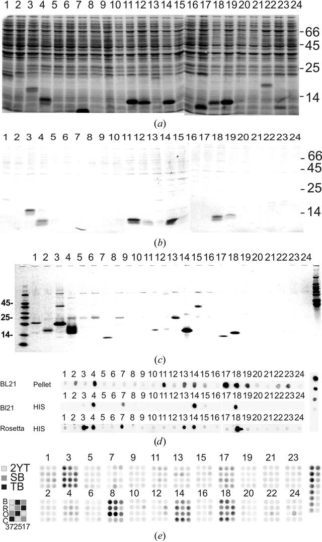 [Figure 1]