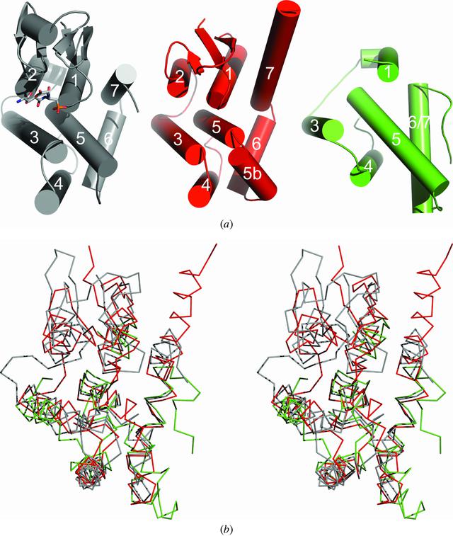 [Figure 1]