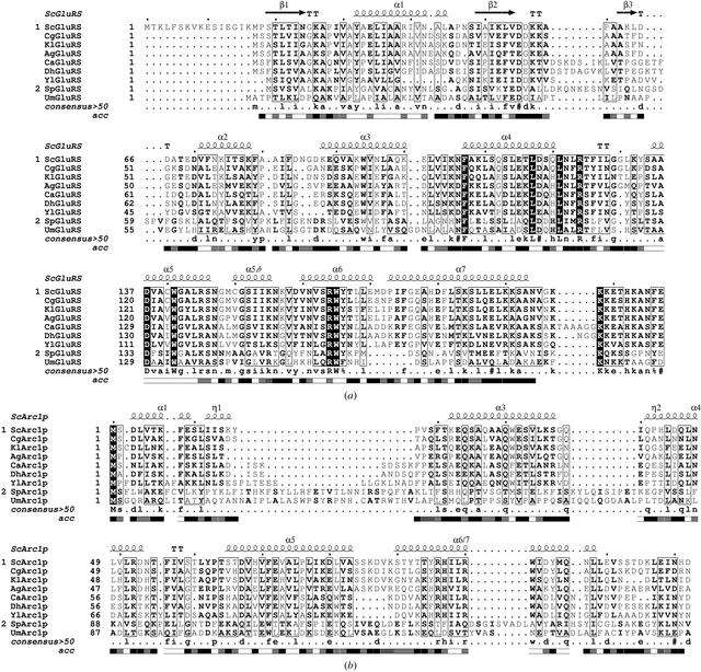 [Figure 2]