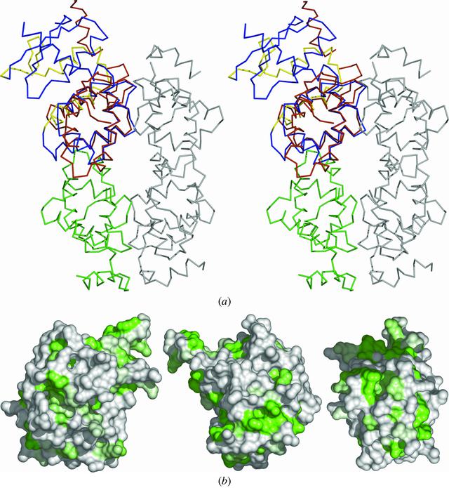 [Figure 5]