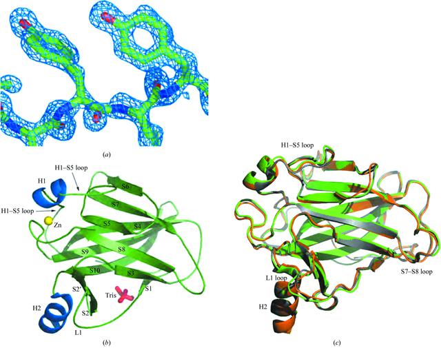 [Figure 1]