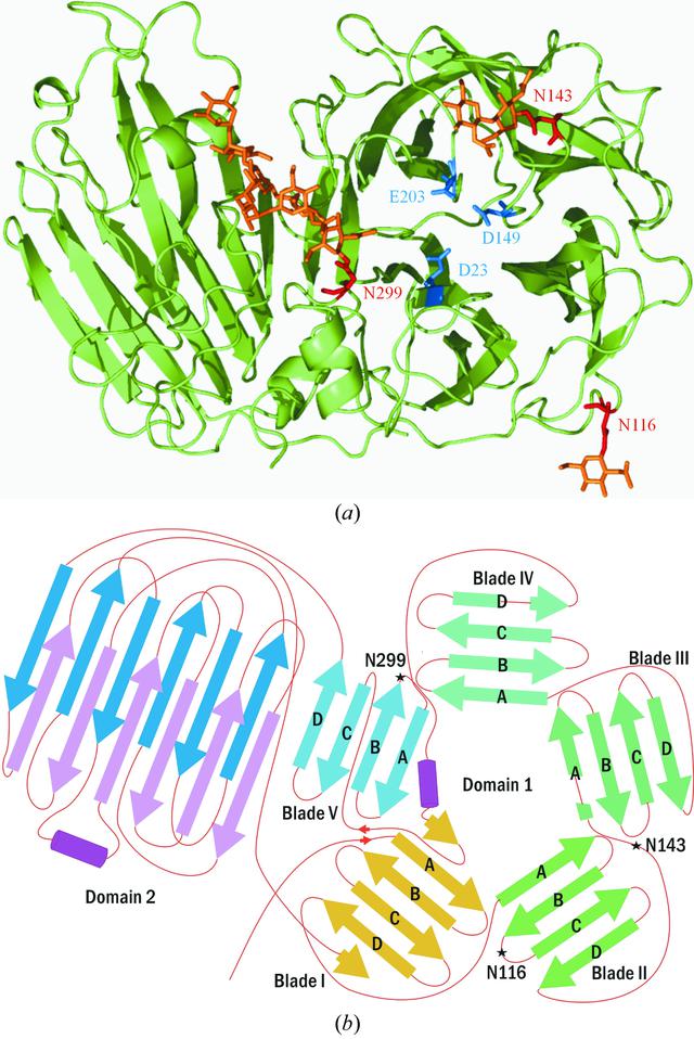 [Figure 1]