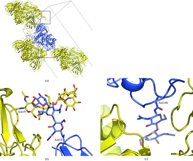 [Figure 2]