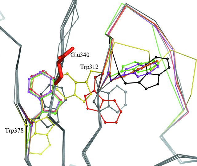 [Figure 5]