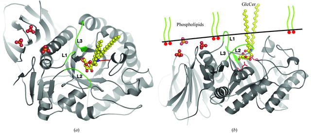 [Figure 6]