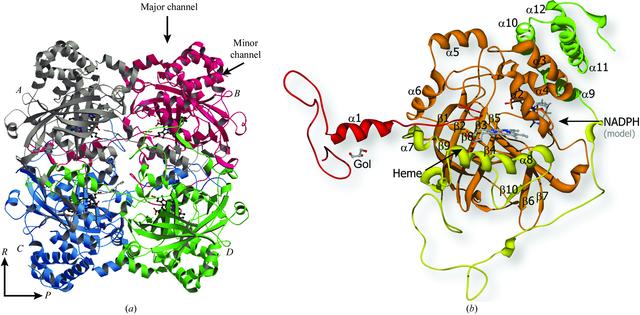 [Figure 2]