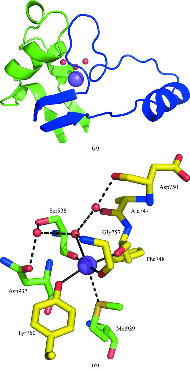 [Figure 4]