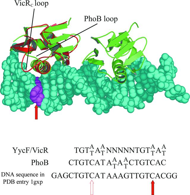 [Figure 3]