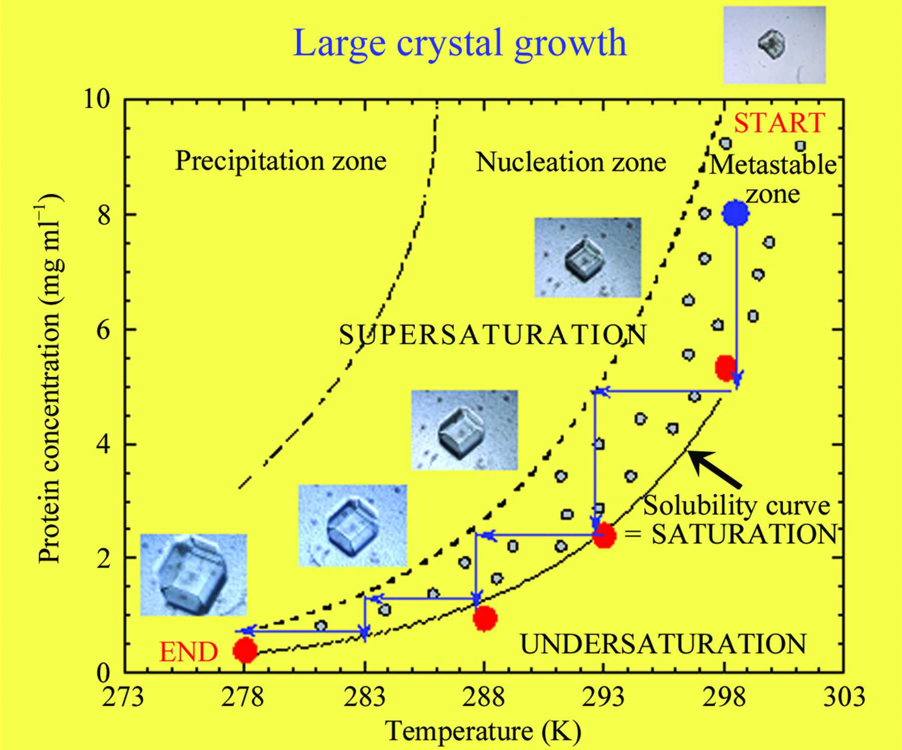 thesis of crystal growth
