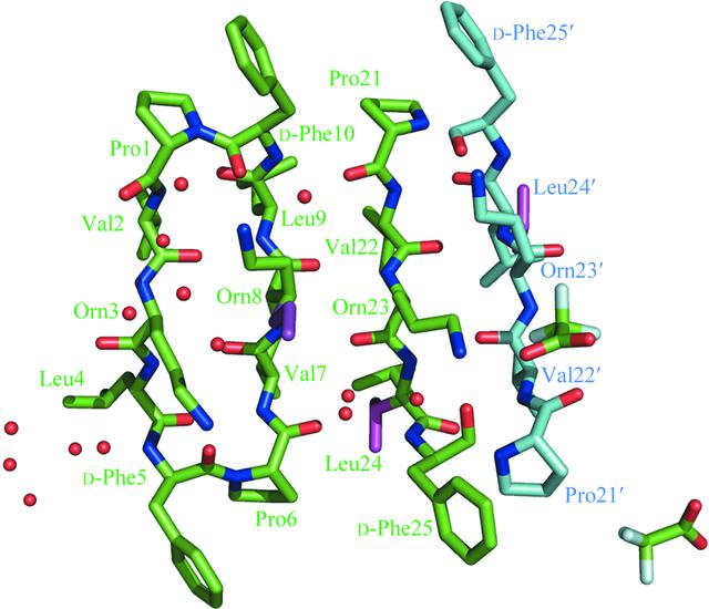 [Figure 1]