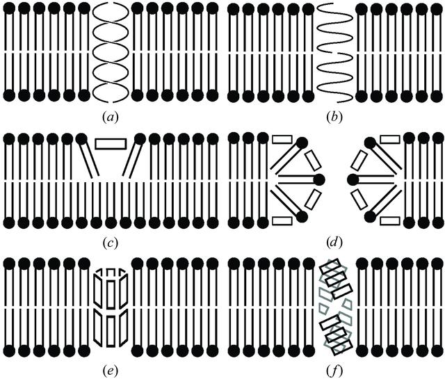 [Figure 5]