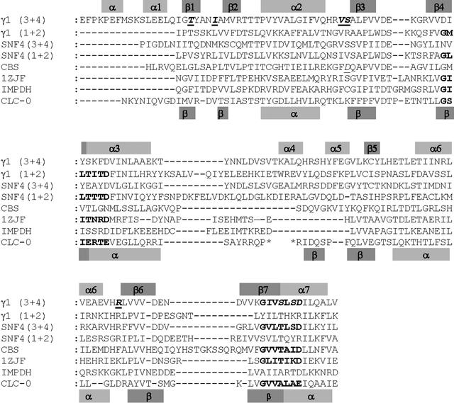 [Figure 4]