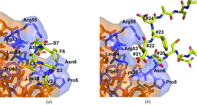 [Figure 5]