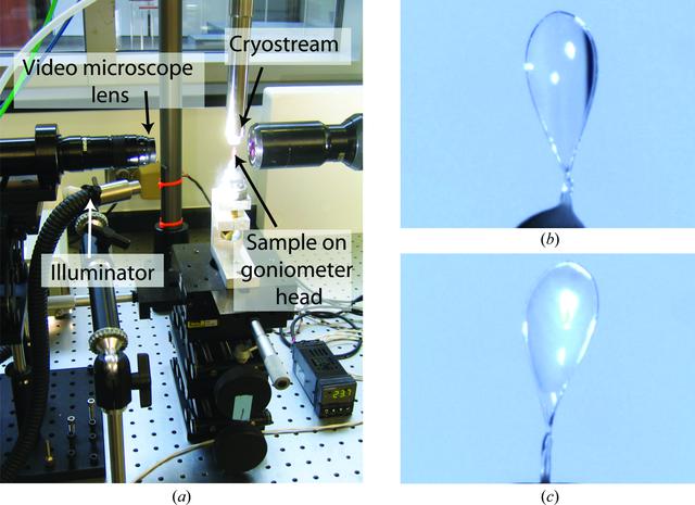 [Figure 1]