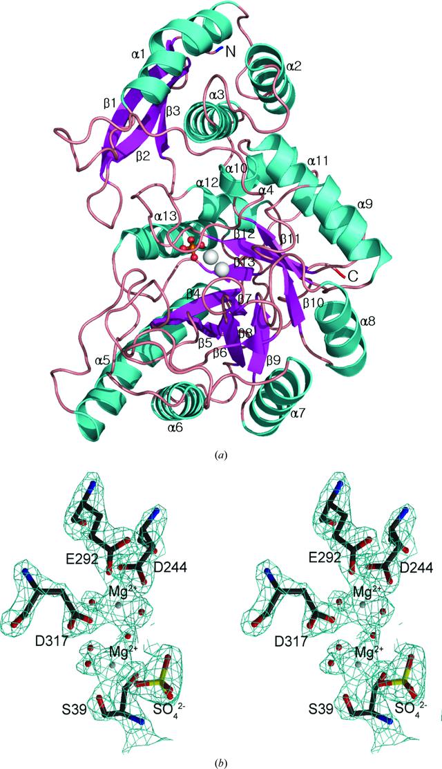 [Figure 1]