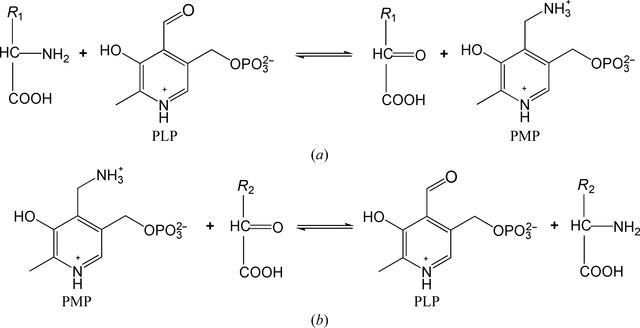 [Figure 1]