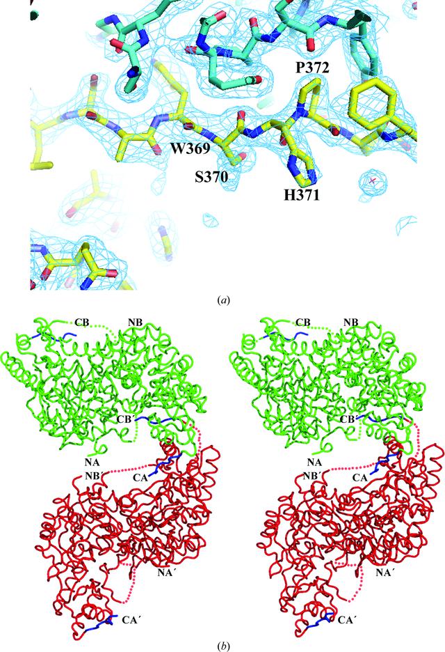(IUCr) Insights into the structural basis of substrate recognition by ...