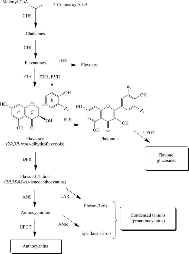 [Figure 1]