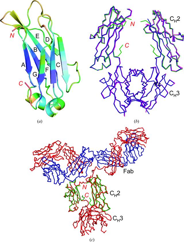 [Figure 1]