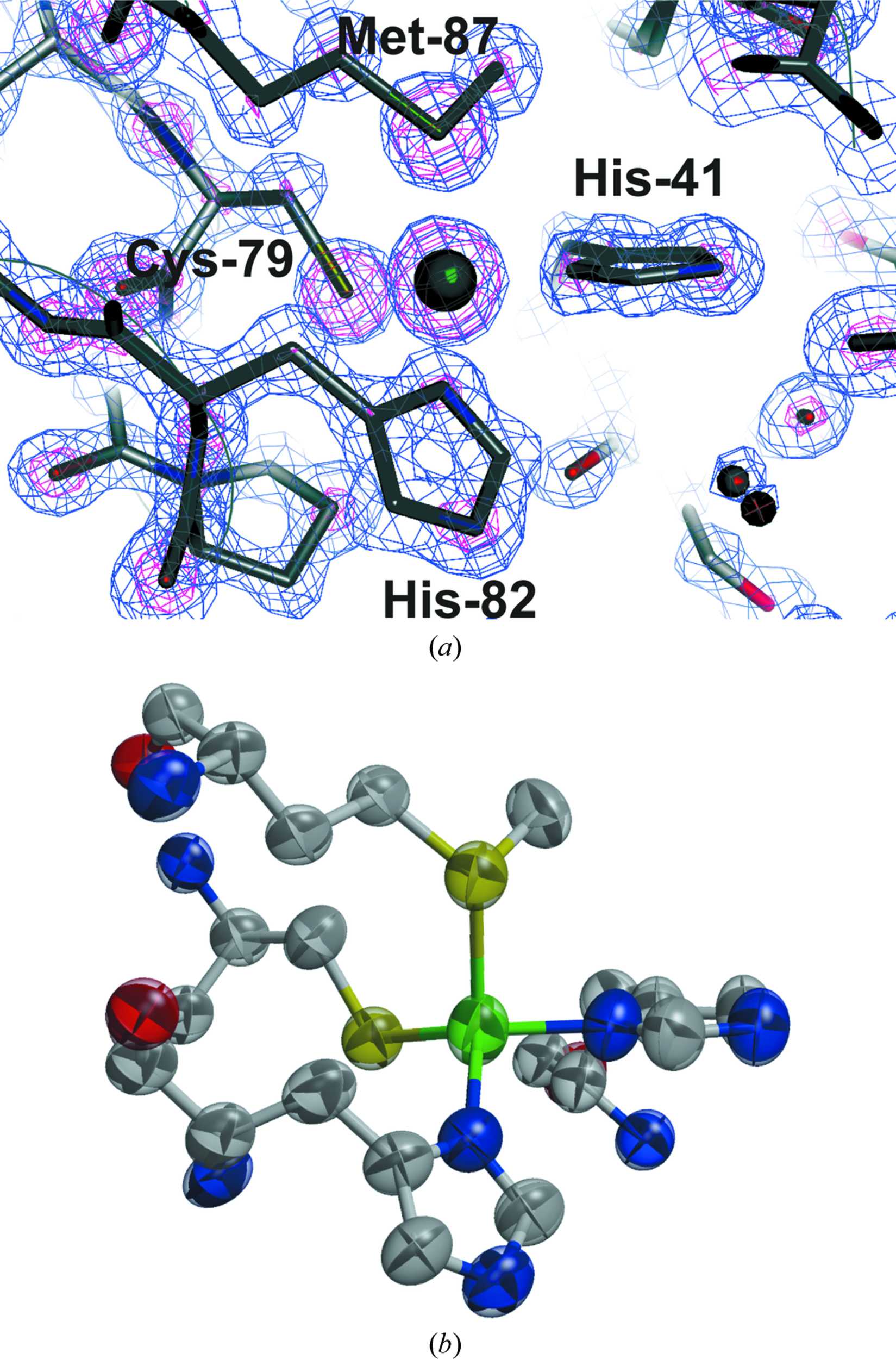 (IUCr) Atomic resolution structure of pseudoazurin from the ...