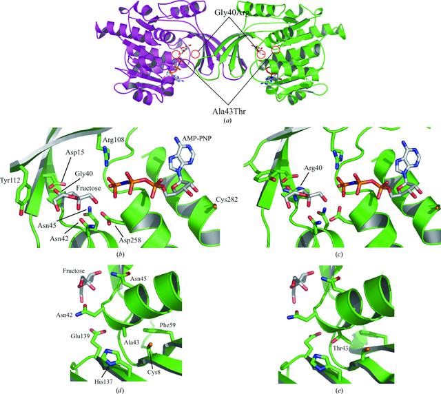 [Figure 6]