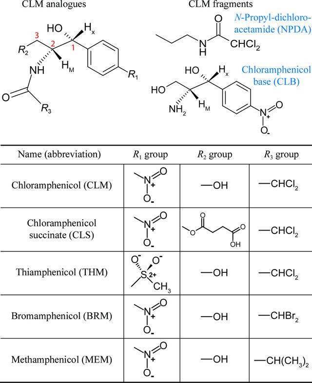 [Figure 1]