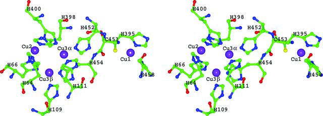 [Figure 4]