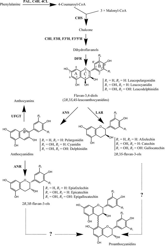 [Figure 1]