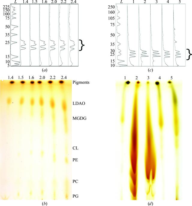 [Figure 1]