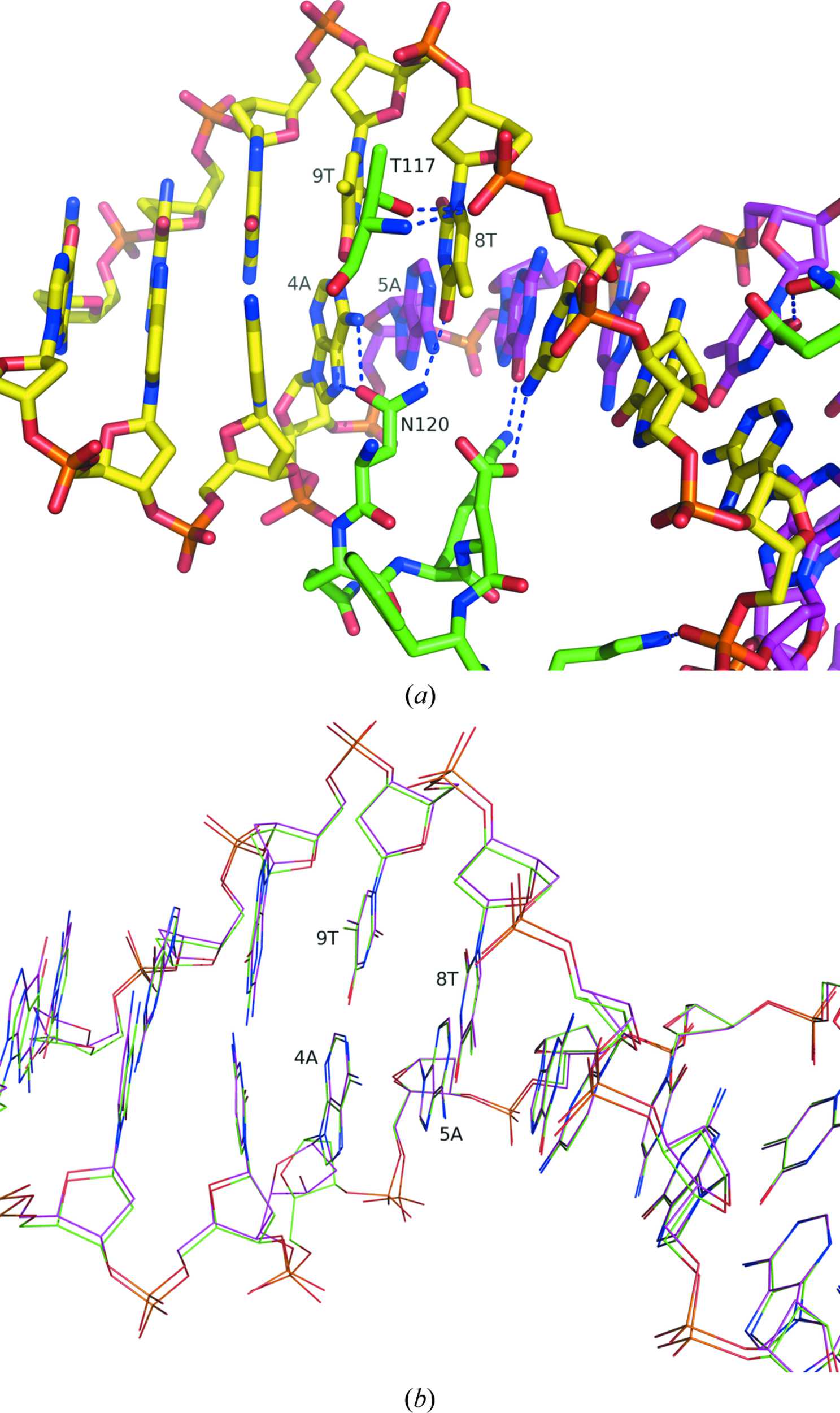 (IUCr) Structures of restriction endonuclease Hin dIII in complex with ...