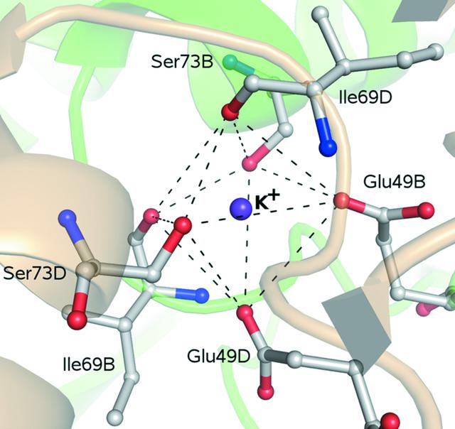 [Figure 3]