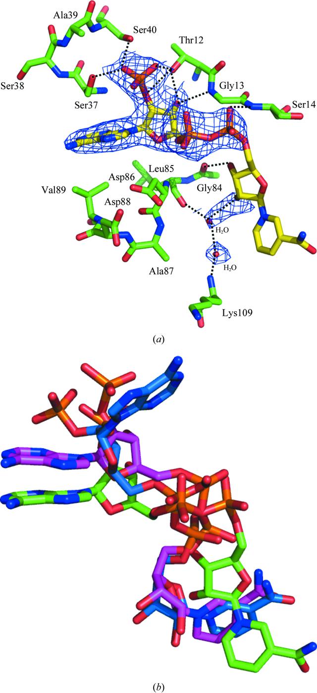[Figure 4]