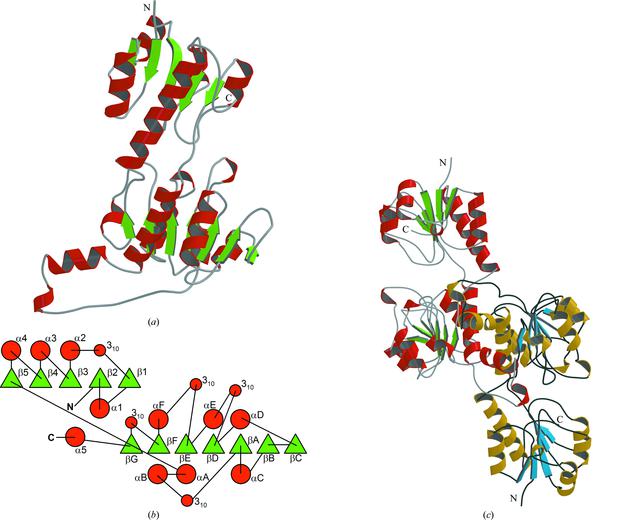 [Figure 3]