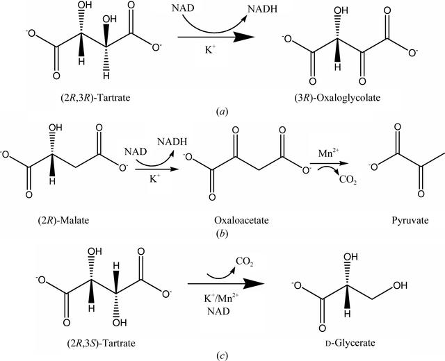 [Figure 2]