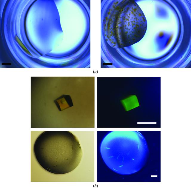 [Figure 1]