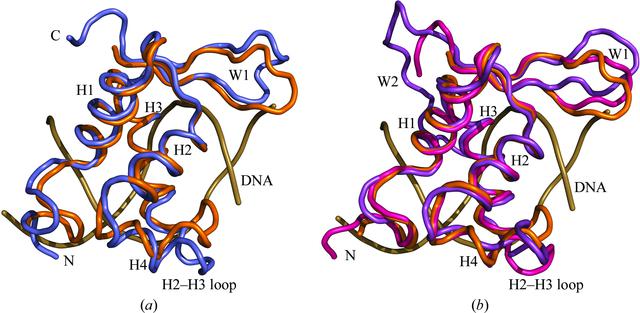 [Figure 6]