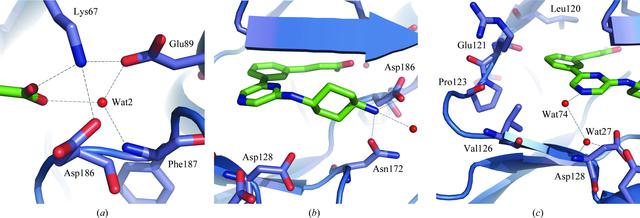 [Figure 4]
