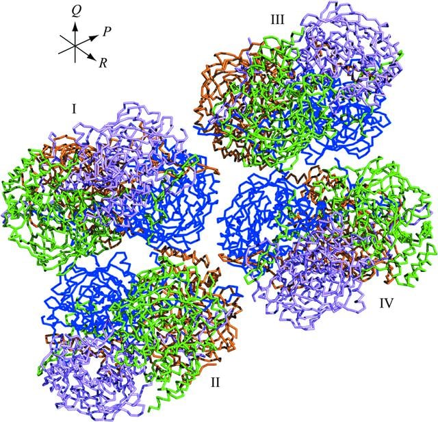 catalase structure catalase (katalase) kopen? Images... (IUCr) Structural features of peroxisomal catalase from the yeast ...