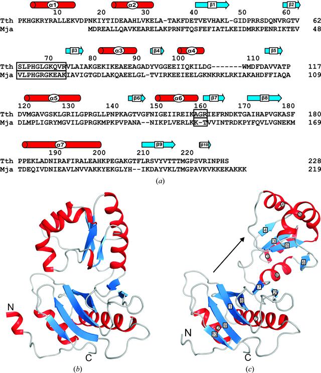 [Figure 1]