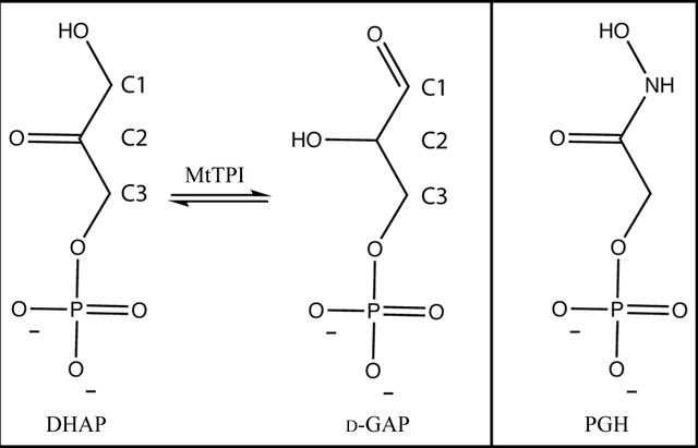 [Figure 1]