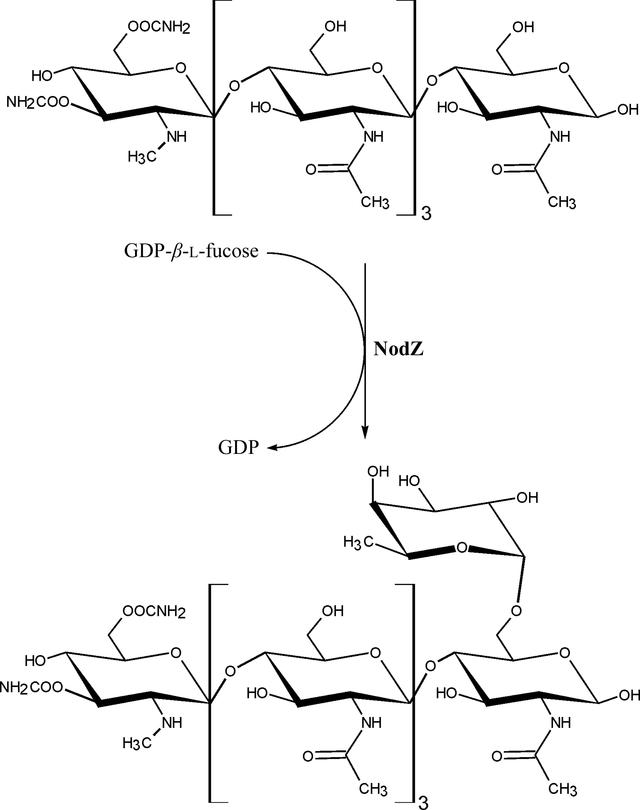 [Figure 1]