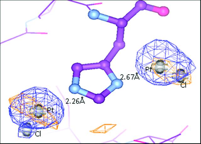 [Figure 7]