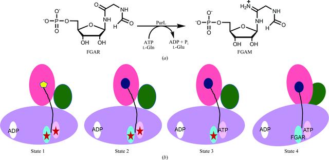 [Figure 1]