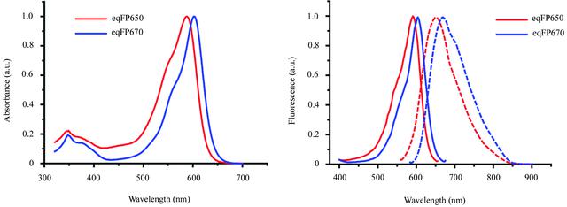 [Figure 2]